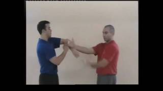 Sifu Jannis Vĩnh Xuân Quyền CHLB Đức, Trường phái Diệp Vấn, Lương Đình