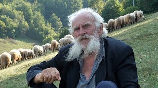 Najstariji ovčar u BiH treba traktor