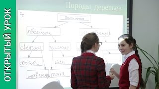 «Леса России» УМК И.И Бариновой. Открытый урок географии 8 класс #09