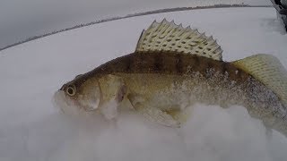 ЛОВЛЯ СУДАКА ЗИМОЙ! ВСПОМНИМ КАК ЭТО БЫЛО В 2018.