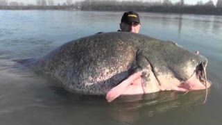 Рыбалка в Саратове Сом  Джиг Рыбалка на Волге Жесть  - Fishing in Saratov Catfish fishing in volga
