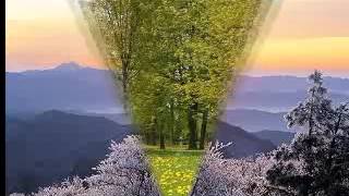 재림을 사모하는 자가 받을 면류관 - 전효성 목사