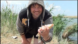 Рыбалка на Маныче- даже змеи ловятся!