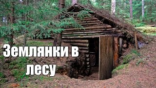 Коп 2016. Землянки в лесу