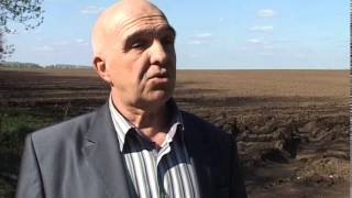В годы ВОВ в Алексеевском районе располагался аэродром