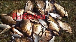 хорошая рыбалка в июле