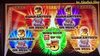 Super Big Win＋Major?Reels of Wheels Slot Max bet $2.50, Akafuji Slot