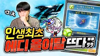 에디큐브 '10만개' 쓰고 첫 올이탈 띄웠습니다ㄷㄷ (Feat. 진용) [신해조 메이플스토리]