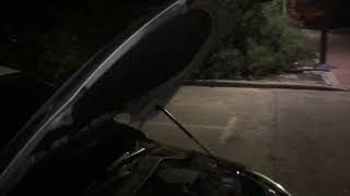 SEAT Toledo IV (Skoda Rapid) hood struts - упоры капота