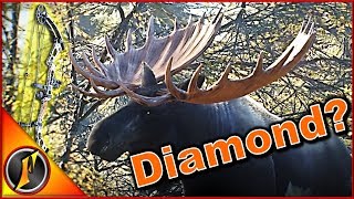 Diamond with a BOW? | theHunter: Call of the Wild 2018