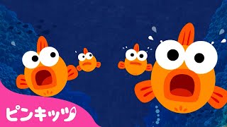 サメだ！！にげろ！ | サメのかぞく???? Baby Shark | 英語童謡 | 子どもの歌 | ピンキッツPINKFONG