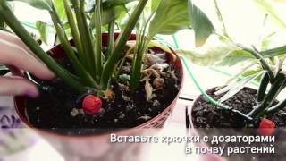 Система автоматического полива растений "Автолейка" - Видео-инструкция