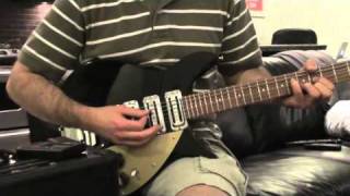 Rickenbacker 325c58 Demo with Pyramid Flatwounds