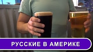 США 3124: Русские в США - пиво, салат, Санта Круз - жизнь удалась - Голос Силиконовой Долины