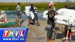 THVL | Tình trạng vận chuyển hàng lậu ở Kiên Giang những ngày giáp Tết