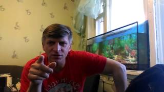 ПЧЕЛОВОДСТВО С НУЛЯ - РЕАЛЬНО - Секреты начинающим пчеловодам от А до Я