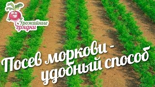 Посев моркови - удобный способ. Урожайные грядки.
