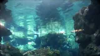 Acquario di Genova