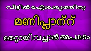 വീട്ടിൽ ഐശ്വര്യത്തിനു മണിപ്ലാന്റ് | Malayalam Astrology