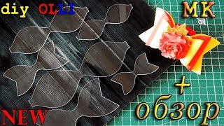 NEW Новые шаблоны | Обзор + Мастер Класс | BOWS | Moño