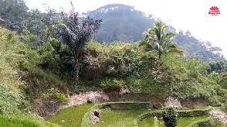 KERAMAT TAMAN KAWASEN