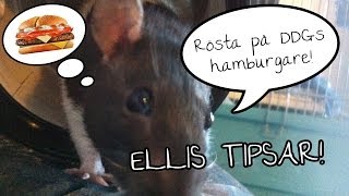 Ellis tipsar om: Rösta på DDGs hamburgare "McDDG"