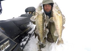 Ловля судака на Рыбинском водохранилище . Март 2018 .