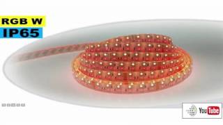 Strip LED RGB-WW IP65 - Double assemblage de LED 5050 et 3528