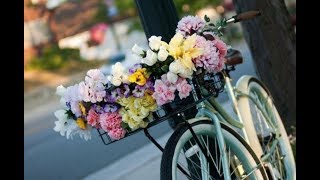 Как появился обычай дарить цветы, и кто научил этому русских мужчин