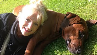 Q & A (1) - Get to Know Me