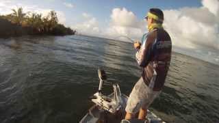 MERO NO CAMARÃO MONSTER 3X  - SERGIPE SPORT FISHING