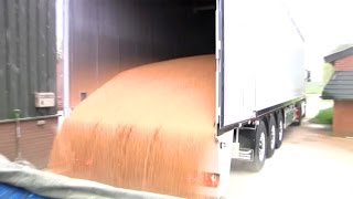 Grain in Knapen Moving Floor Trailer Video