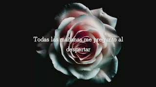 José Madero = Sinmigo |Letra