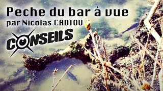 La pêche du bar à vue