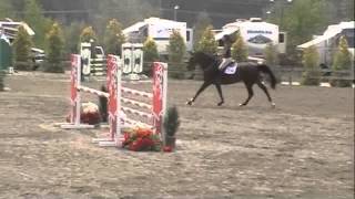 Sidera 8yr old mare by Stakkato Gold