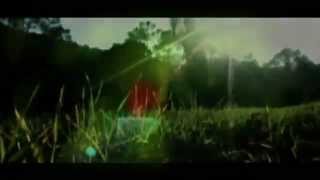 Los sueños - Green Valley