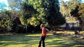Cracking a bullwhip