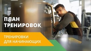 Никита Захаров для NL International. План тренировок в тренажерном зале для начинающих