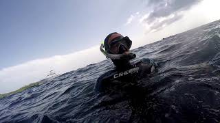 Diving in Roatan -  2019