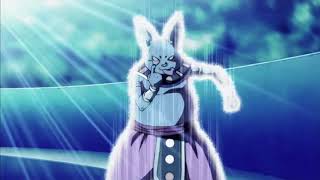 Champa Is Brilliant!