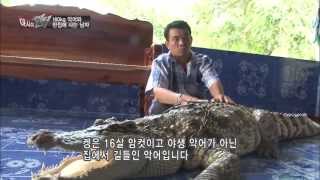 160kg 악어와 16년동안 동거하는 남자!_[아시아헌터_태국]