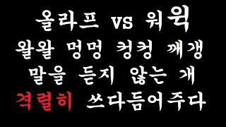 [우주최강올라프] 올라프 vs 워윅
