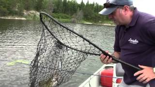Рыбалка на Walleye Lake, малоротый окунь. Онтарио Канада. Fishing. Smallmouth bass. Ontario Canada