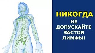 Упражнения для здоровья лимфатической системы. Алексей Маматов