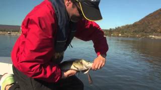 Autumn Susquehanna River Fishing