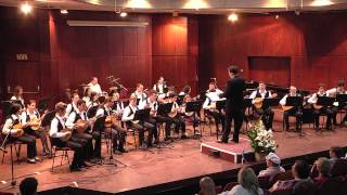 "The Jewish fantasy" arr. by T. Shushankov (28.05.2015)