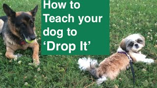 How To Teach your dog to Drop it