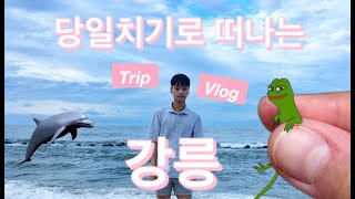 무작정 강릉여행 당일치기 가기~! 여행 브이로그 [강릉중앙시장/강릉바다/강문해변/경포해변/테라로사/강릉먹방/하늘맛집]