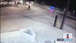 Otro montaje de policías: "El Zar de la Totoaba" no fue detenido así | Noticias con Ciro Gómez Leyva
