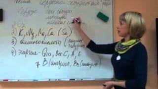 Болезни сердца и сердечно-сосудистая система.